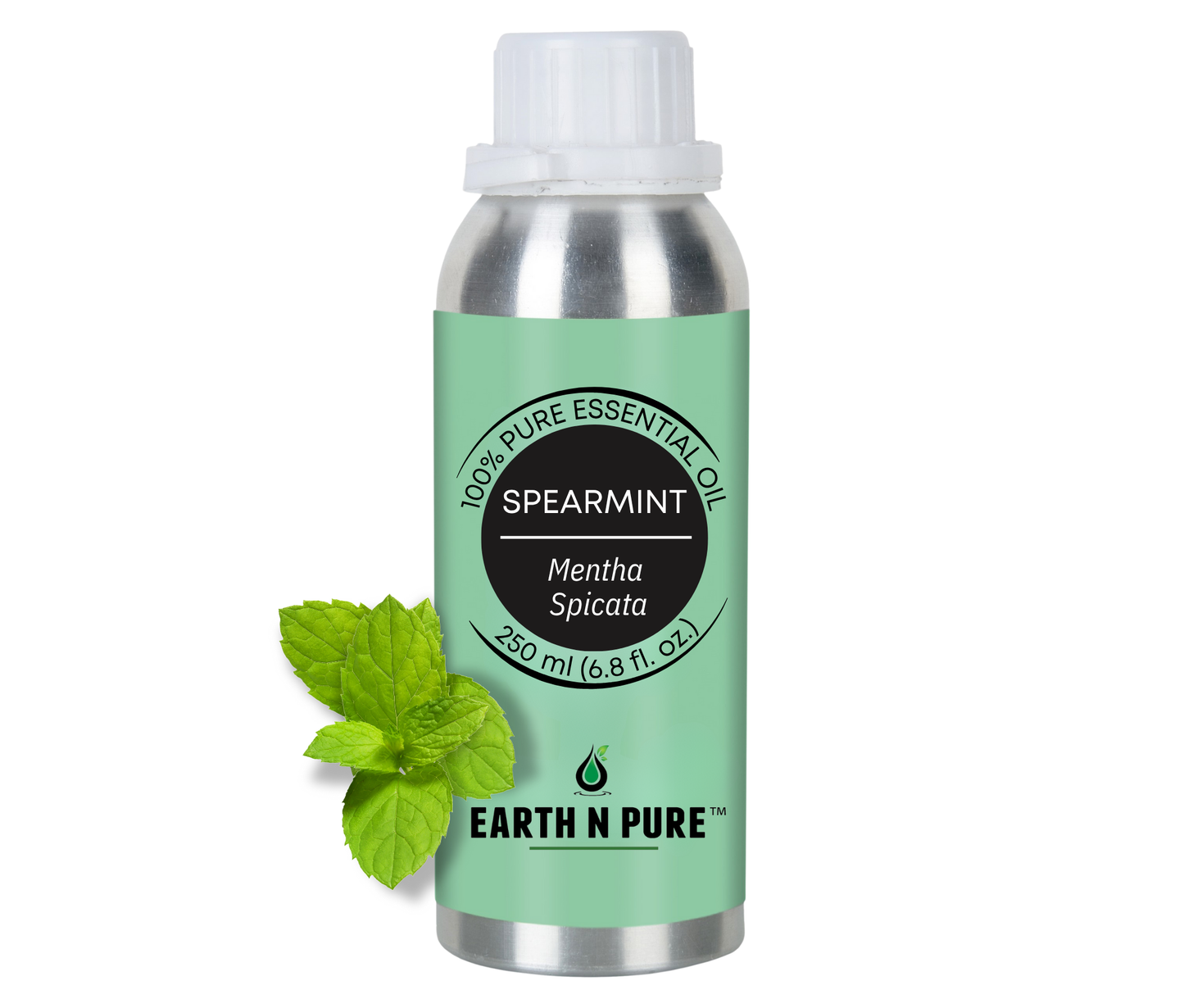 Earth n Pure Spearmint Oil for Refreshing Aromatherapy