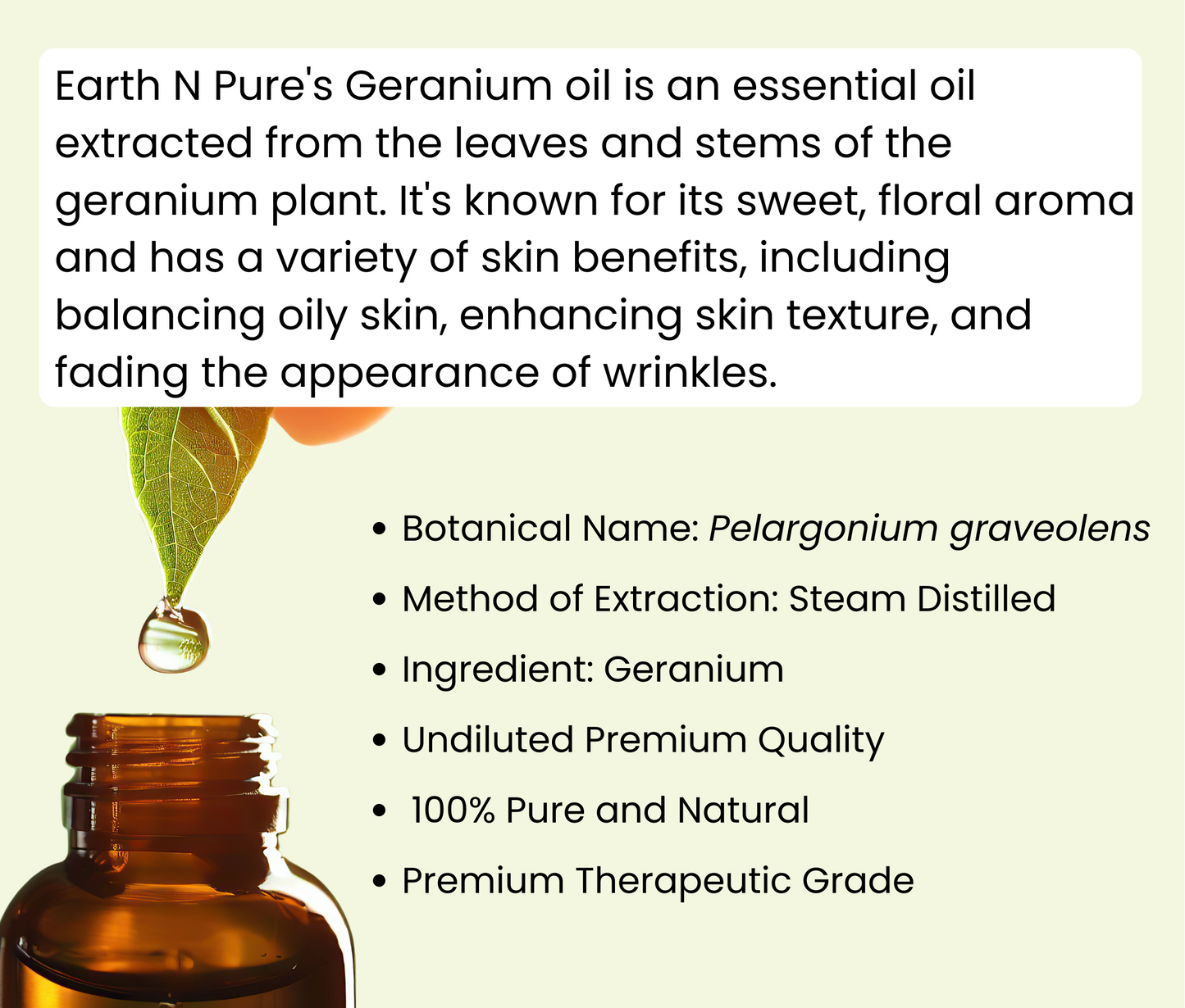 Geranium Oil