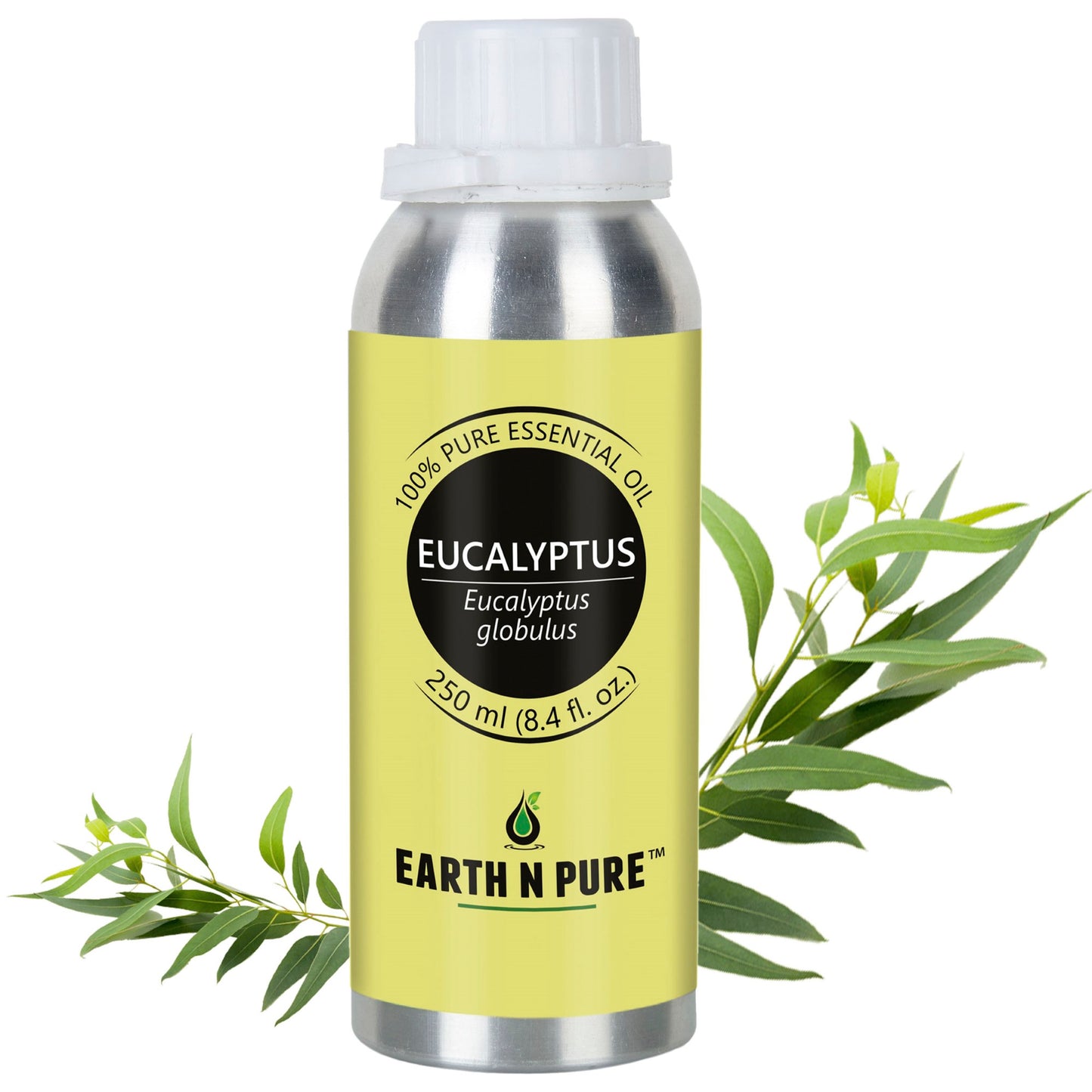 Eucalyptus (Nilgiri) Oil