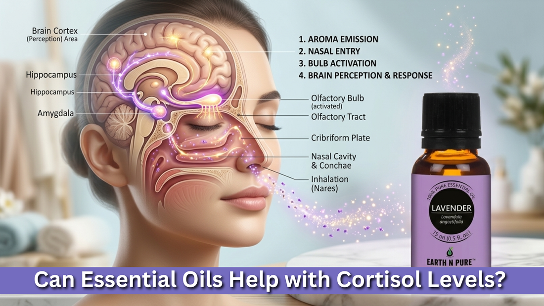 Can Essential Oils Help with Cortisol Levels?