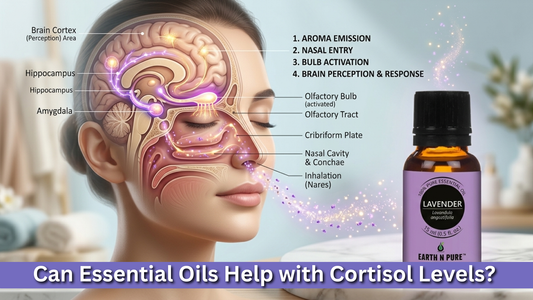 Can Essential Oils Help with Cortisol Levels?