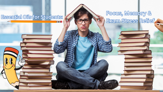 Essential Oils for Students: Focus, Memory & Exam Stress Relief!
