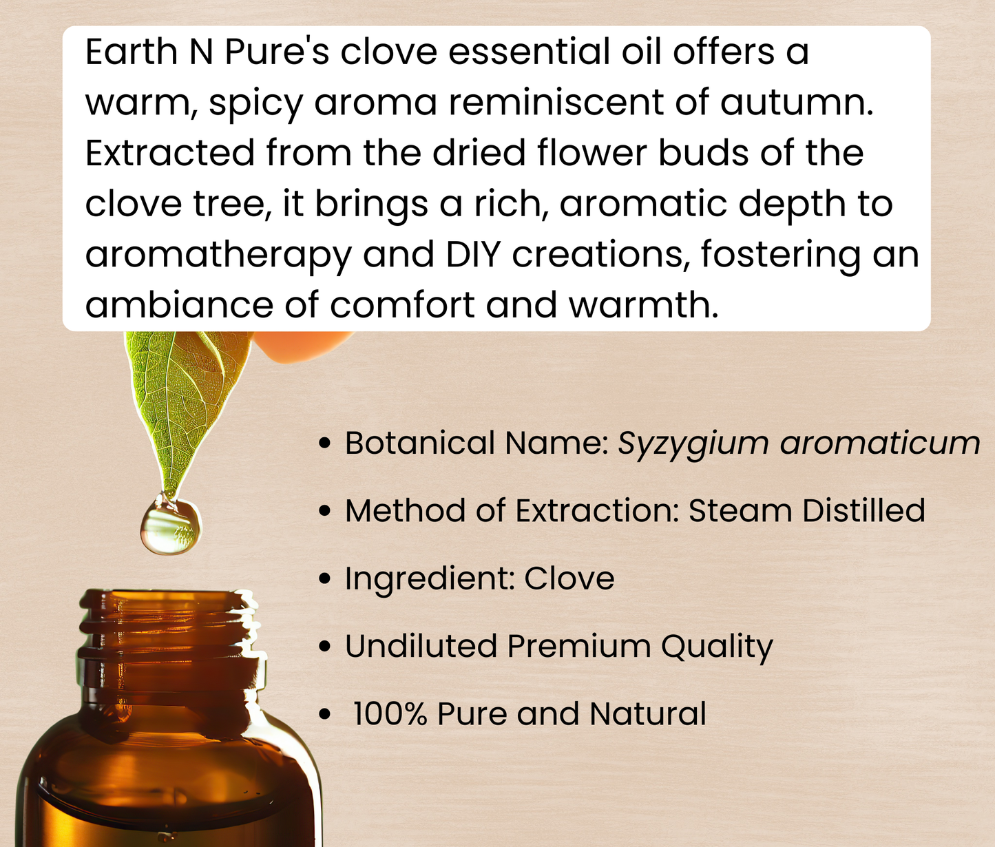 Clove Bud (Laung) Oil