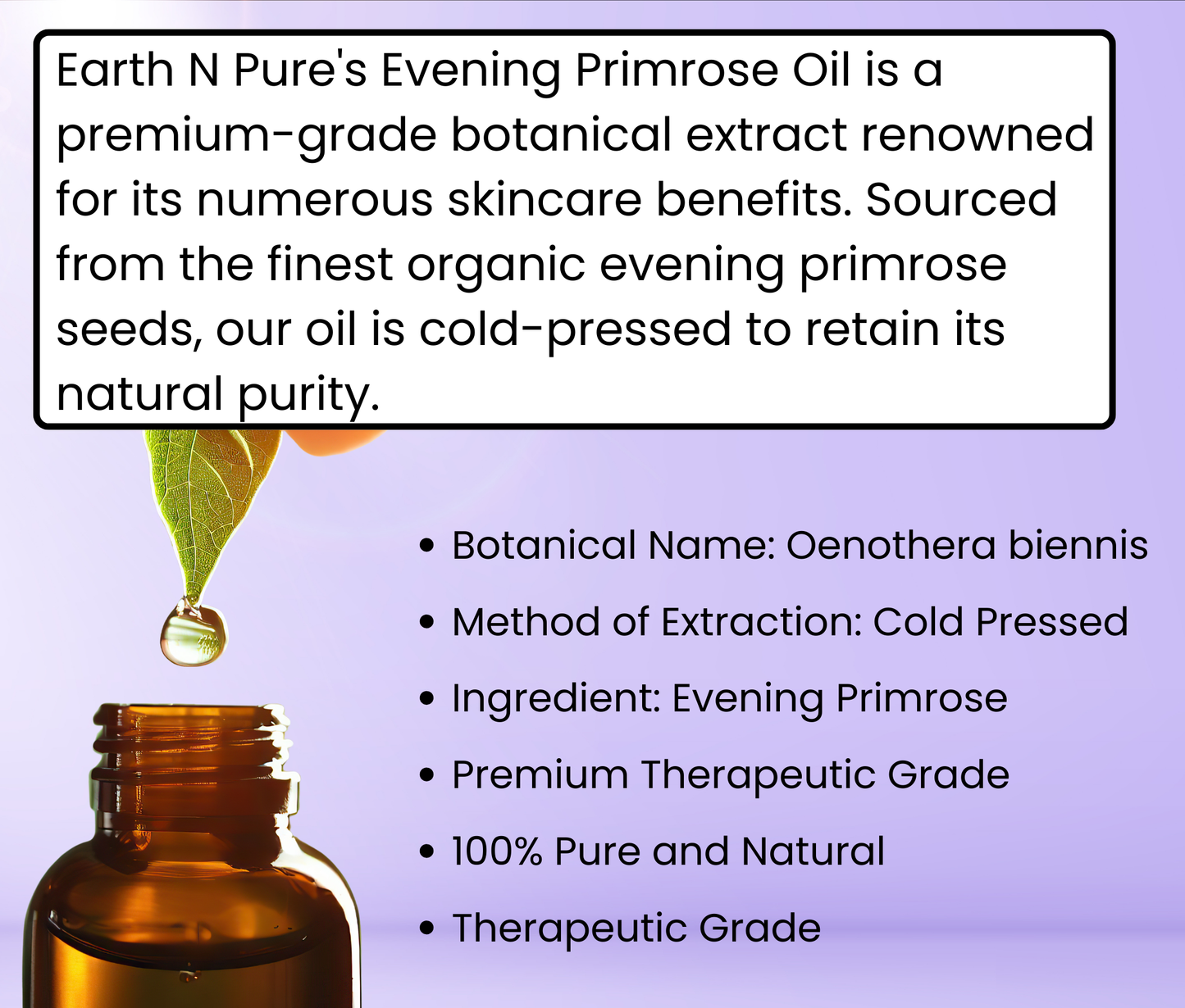 Evening Primrose Oil