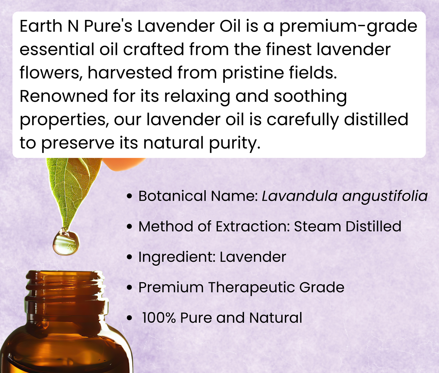 Lavender Oil Combo