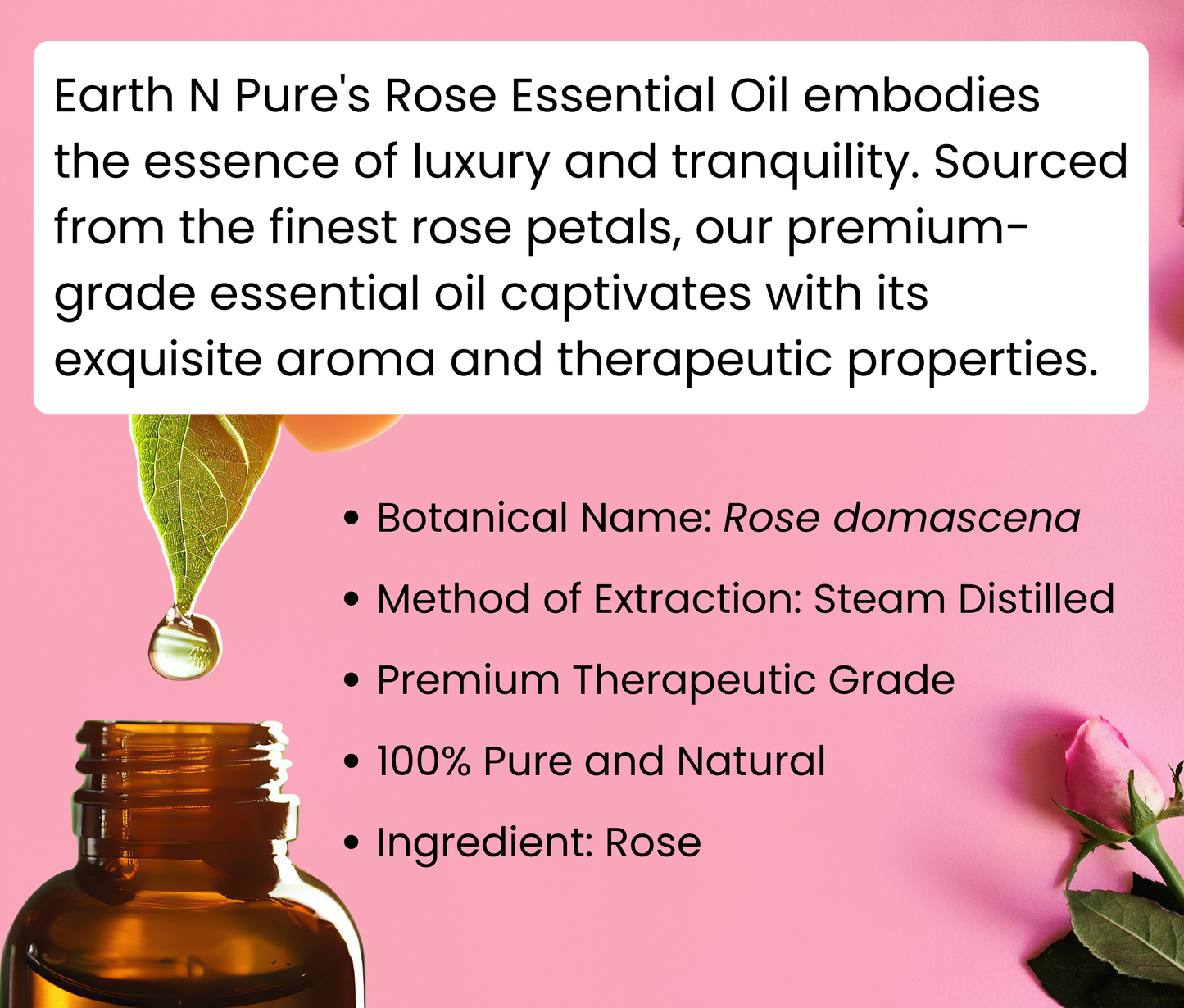 Diffuser Burner with 10Ml Rose Oil