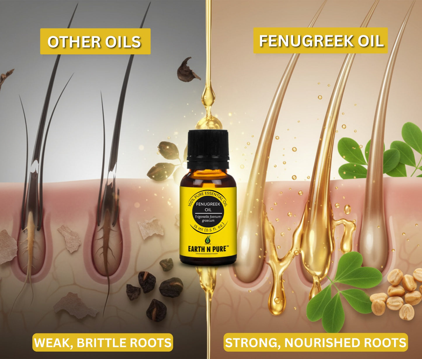 Earth n Pure Fenugreek Oil Pack of 2 for Hair Growth