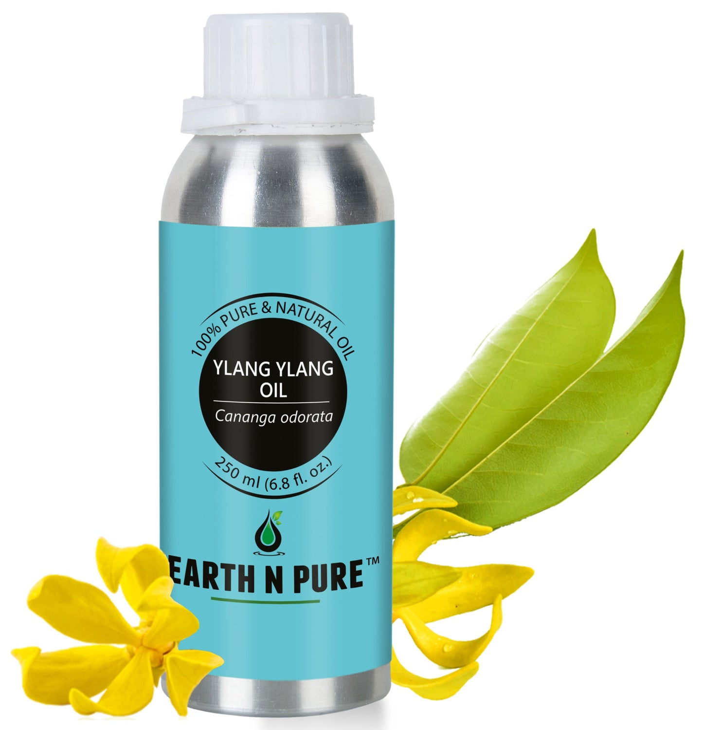 Ylang Ylang Oil