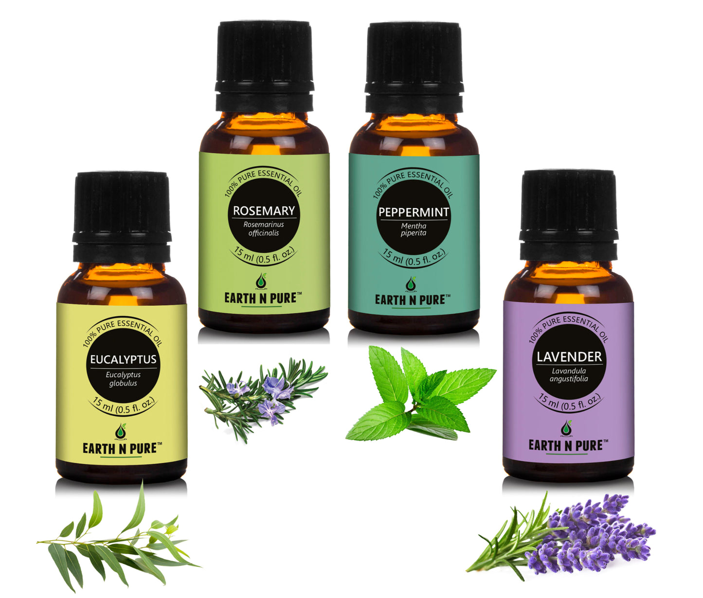 Lavender, Rosemary, Peppermint & Eucalyptus