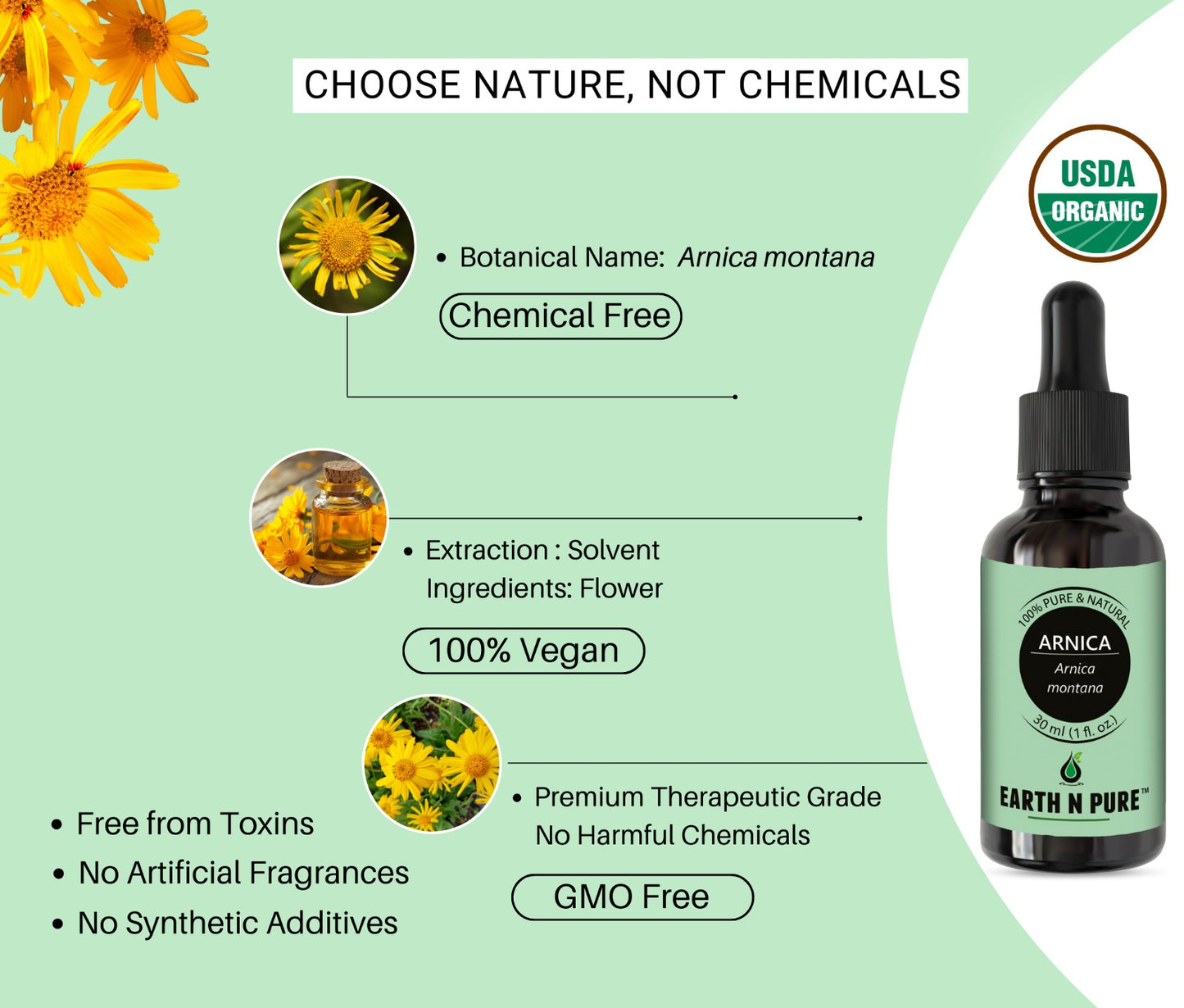 arnica flowers highlighting natural ingredients