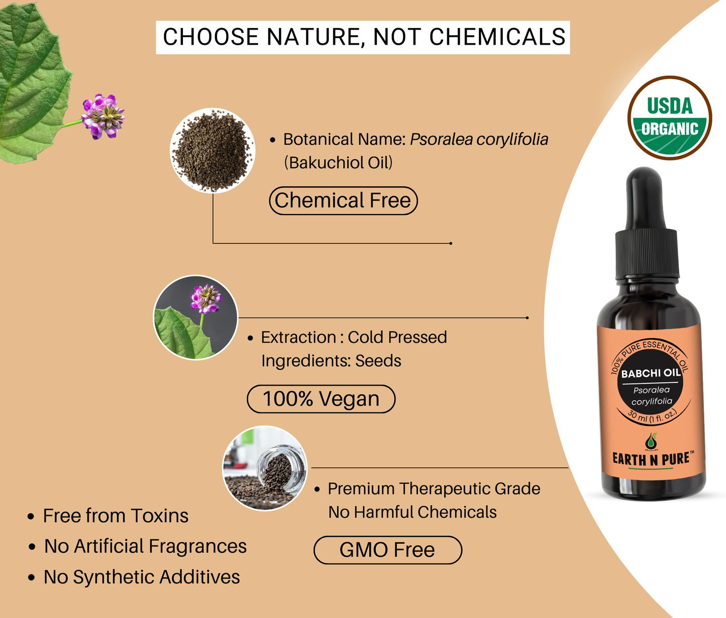 babchi seeds highlighting natural ingredients