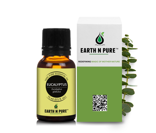 pure eucalyptus essential oil for aromatherapy