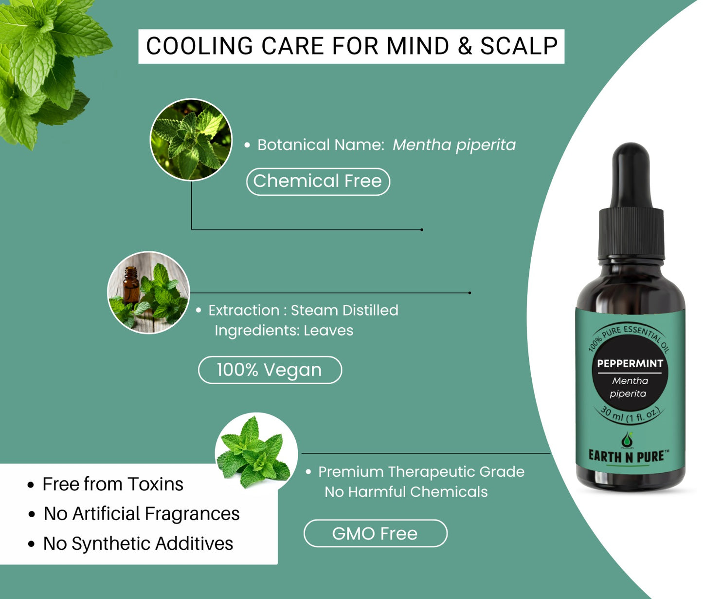 Earth n Pure Peppermint Oil for Hair and Scalp Care Pack of 2