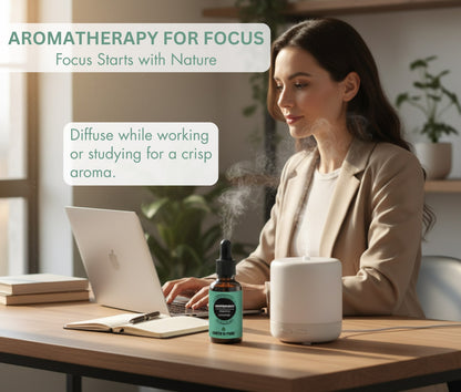 Peppermint Oil used in diffuser for cooling mint aroma