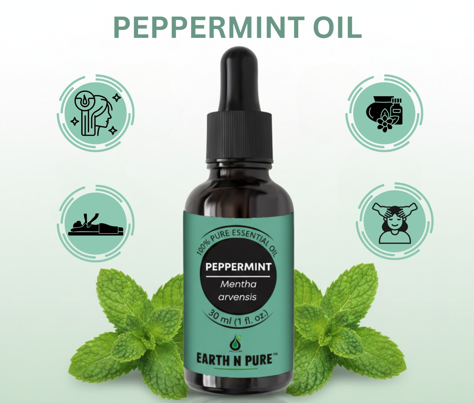 fresh peppermint leaves highlighting natural ingredients