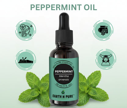 fresh peppermint leaves highlighting natural ingredients