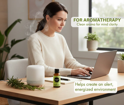 Rosemary oil in diffuser aromatherapy – stress relief and mental clarity