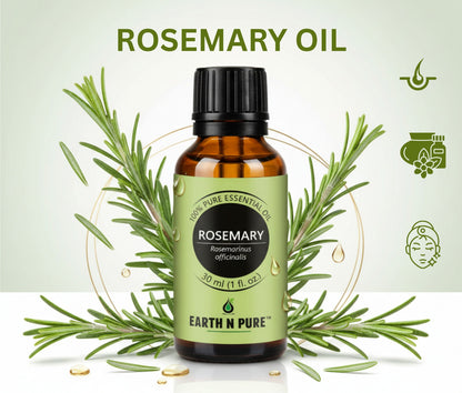 Natural rosemary plant botanical extract for pure essential oil