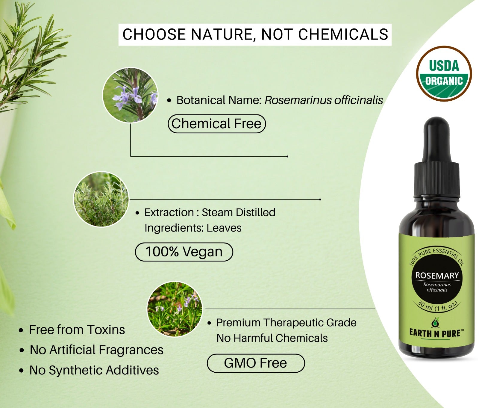 Fresh rosemary leaves – natural ingredient in Earth N Pure rosemary oil