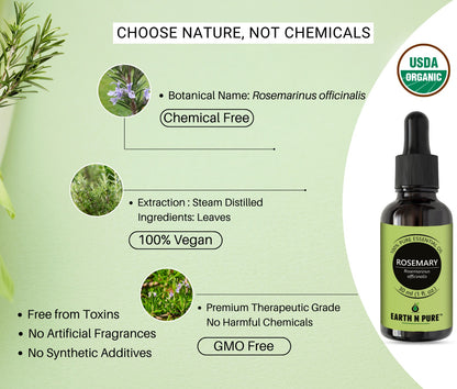 Fresh rosemary leaves – natural ingredient in Earth N Pure rosemary oil